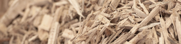 Assemblea Generale 2021